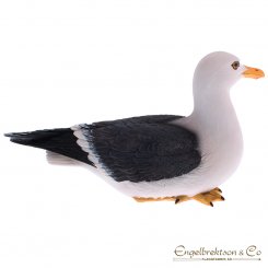 A beautiful seagull for house and home