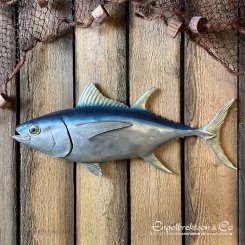 tuna decoration marine interior design character special fun Rådmansgatan 75